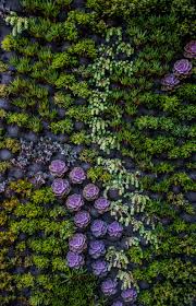 Vertical Garden