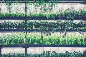 Vertical Garden