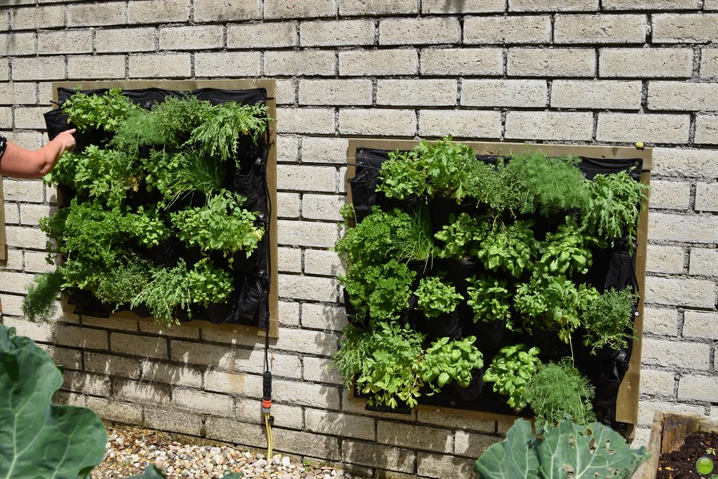 Vertical Garden